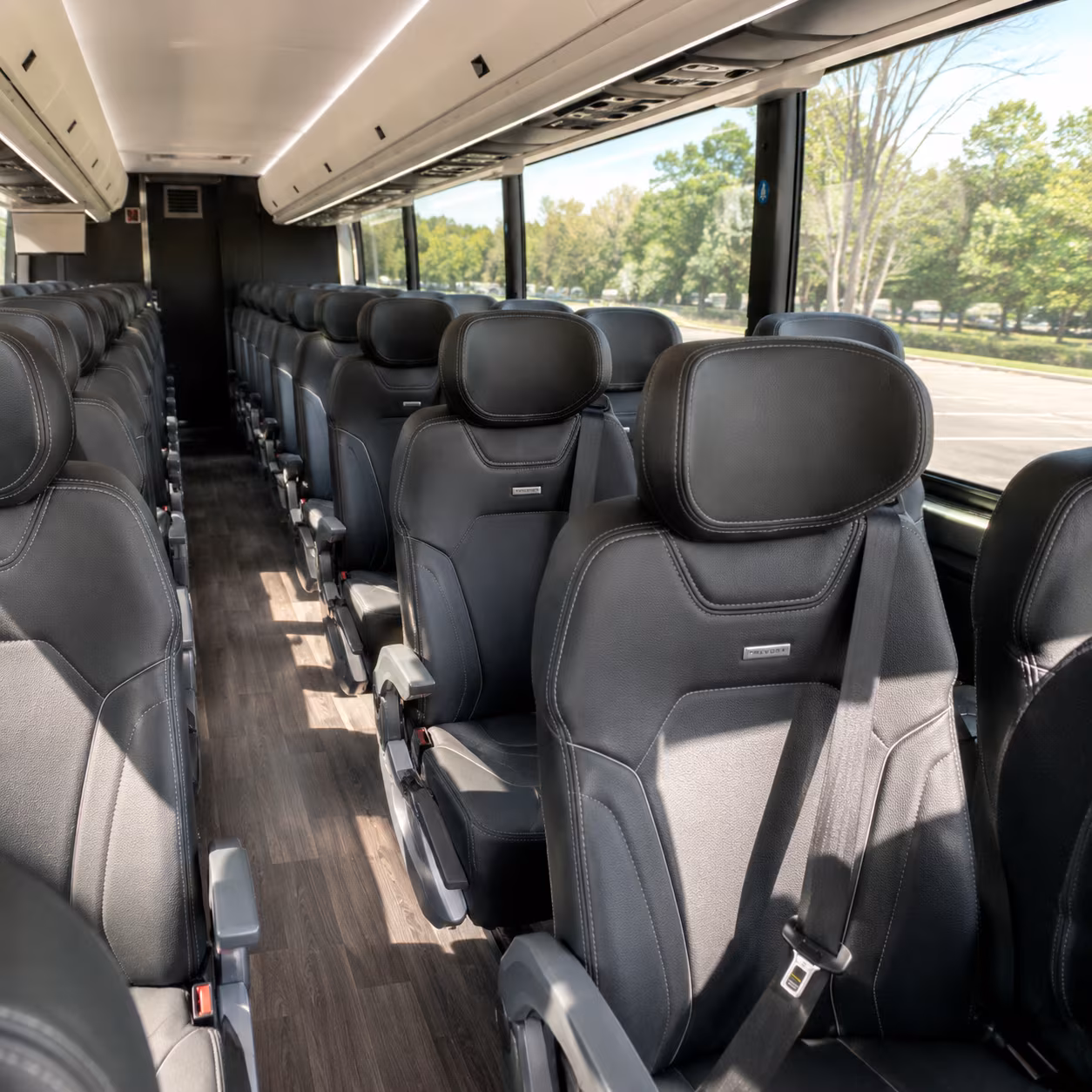 richmond long distance transportation onboard seating